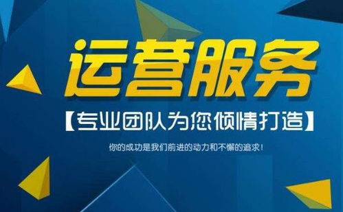 極客優品 為什么運營策劃需要找一個專業的服務商