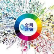 【智財(cái)富企業(yè)網(wǎng)絡(luò)營銷,為企業(yè)提供可落地、可執(zhí)行、可盈利的網(wǎng)絡(luò)營銷方案】價(jià)格_廠家_圖片 -
